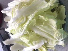 白菜洗净用手撕成一条一条的，蒜切蒜末、姜切姜丝备用