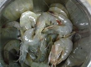 虾清洗干净备用