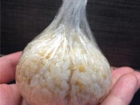 用保鲜膜将米饭包起成球形，可以通过拧紧收口使饭团更紧实