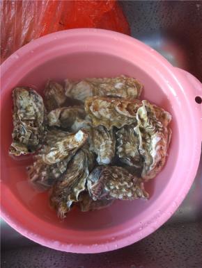 生蚝放清水里，冲洗干净