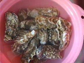 生蚝放清水里，冲洗干净