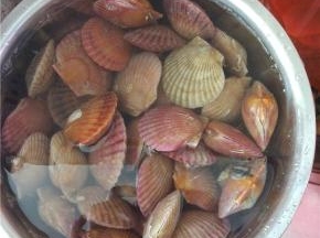 扇贝放清水里浸泡，加入适量的盐