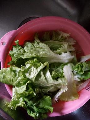 生菜洗净控干水分备用