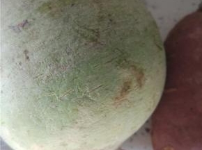 红心萝卜去皮清洗干净