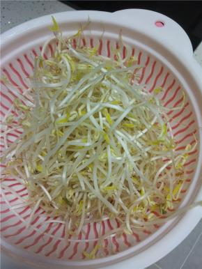 买回来的豆芽清洗干净控干水分备用