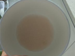 煮好的西米适量