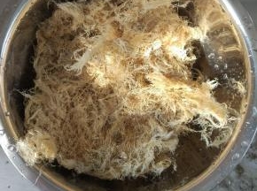 干的海石花泡软，清洗干净杂质