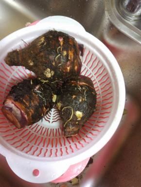 香芋洗净外面的泥土