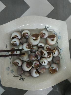 香螺出锅过凉水