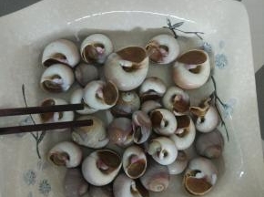 香螺出锅过凉水