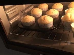 上下火，160℃，底层烤架30分钟