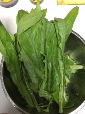 将油麦菜洗干净