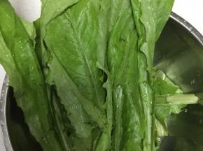 将油麦菜洗干净