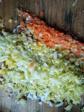 将娃娃菜和胡萝卜洗净后剁碎