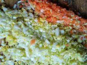 将娃娃菜和胡萝卜洗净后剁碎