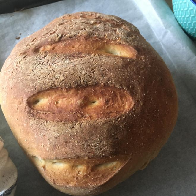 无油无糖的免揉全麦面包