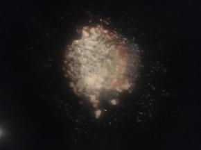 .热锅倒油，加入蒜末和糖