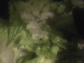 放入生菜