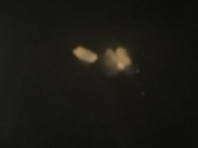 热锅倒油，加入大蒜爆香，