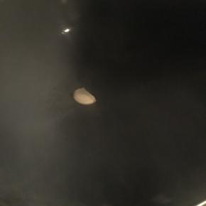 热锅倒油，大蒜爆香