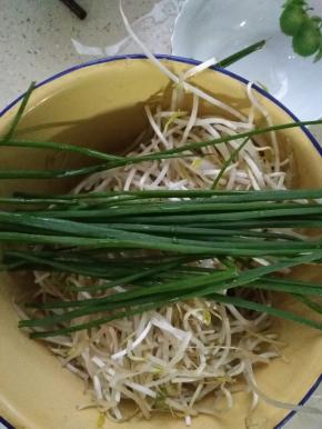 洗净的绿豆芽备用