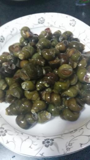 新鲜螺丝夹掉尾部