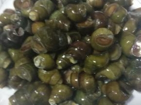 新鲜螺丝夹掉尾部