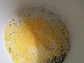 粟米、黑芝麻、大米、玉米碎，如图