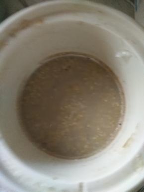 盖上盖子，炖3-5小时，加适量白糖出锅盛盘即可