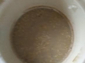 盖上盖子，炖3-5小时，加适量白糖出锅盛盘即可