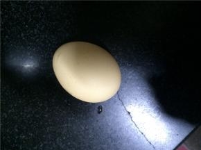 白煮蛋，取出蛋黄，切块。