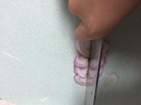 准备洋葱，洗干净，切块