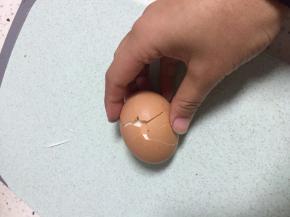 .准备一个熟鸡蛋，随意切开