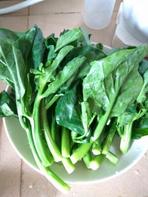 先把洗好的芥兰放盘子里，每根的长度差不多