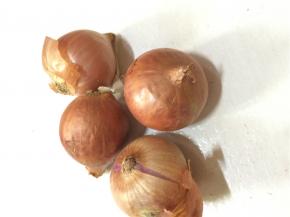 洋葱对半切开（这里选用的是小洋葱）