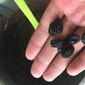 加入黑加仑葡萄干