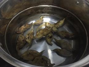 在锅子里加入少许水，没过菱角，煮10-15分钟