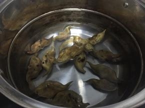 在锅子里加入少许水，没过菱角，煮10-15分钟
