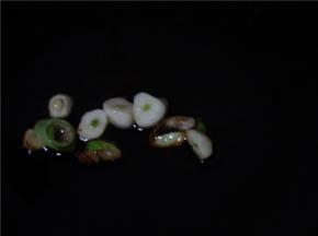 葱蒜入锅加油，炒香