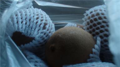 奇异果切片（要硬的）。