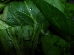 将油菜洗净，切断
