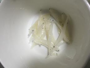 将银鱼丝铺在碗底