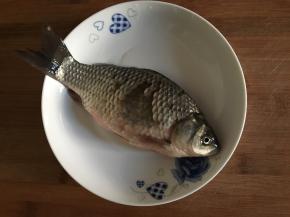 买来活鲫鱼，鱼鳞不要刮洗净