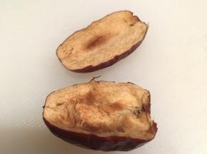 把所有红枣切成两半去核