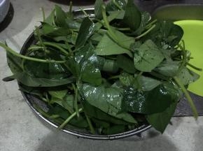 只取番薯叶的嫩叶子，洗净后沥干水。