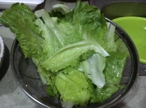 新鲜生菜叶洗净