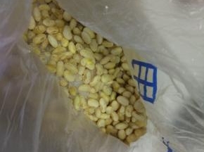 黄豆易煮烂小窍门，黄豆洗干净，用水浸泡一晚上，沥干水分，放入冰箱冷冻室，冷冻，