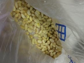 黄豆，做豆浆剩下的