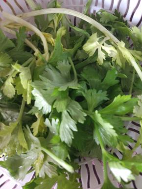 芹菜叶子提前洗净，控干水分