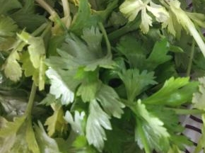 芹菜叶子提前洗净，控干水分